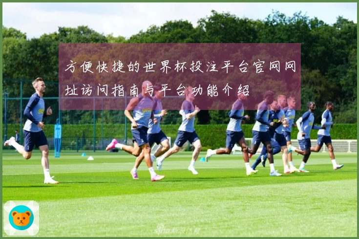 方便快捷的世界杯投注平台官网网址访问指南与平台功能介绍