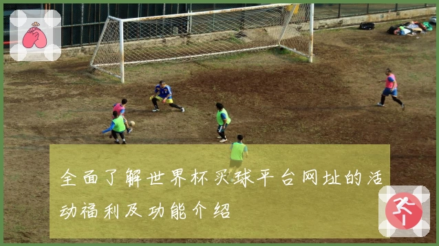 全面了解世界杯买球平台网址的活动福利及功能介绍