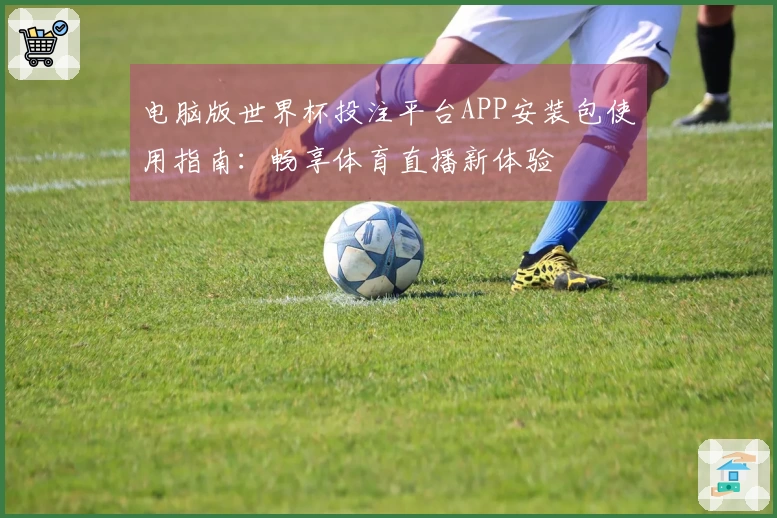 电脑版世界杯投注平台APP安装包使用指南：畅享体育直播新体验
