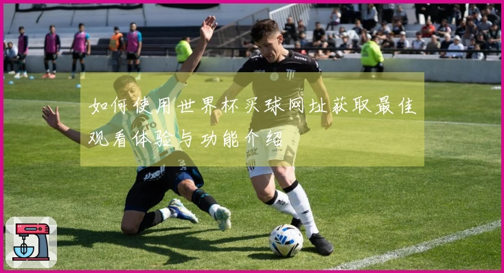 如何使用世界杯买球网址获取最佳观看体验与功能介绍