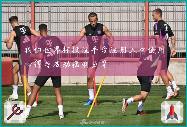 我的世界杯投注平台注册入口使用心得与活动福利分享